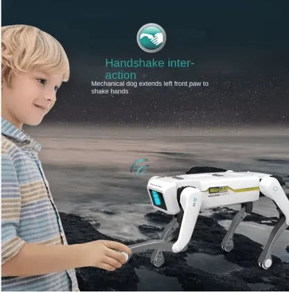 RC Stunt Robot Dog
